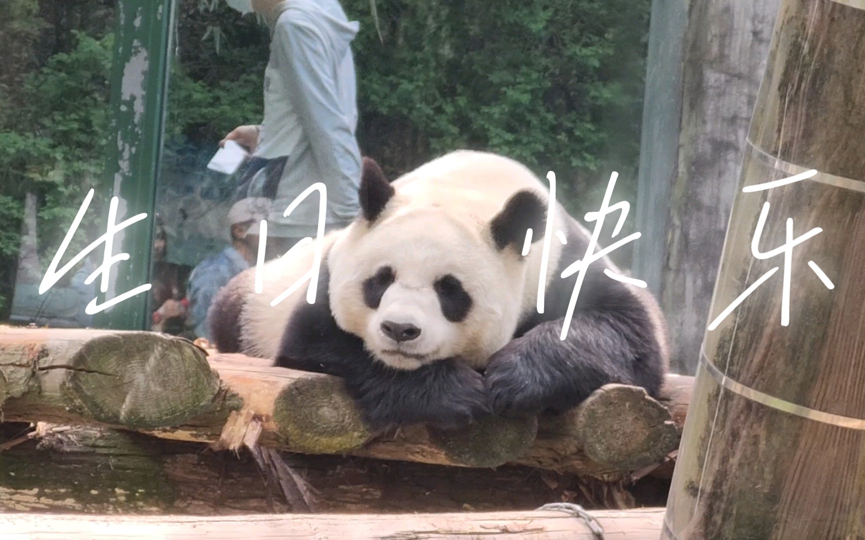 三月十六日,在南京红山动物园和可爱的小动物一起庆祝生日