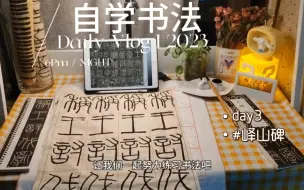 Descargar video: 零基础小白自学峄山碑的第三天