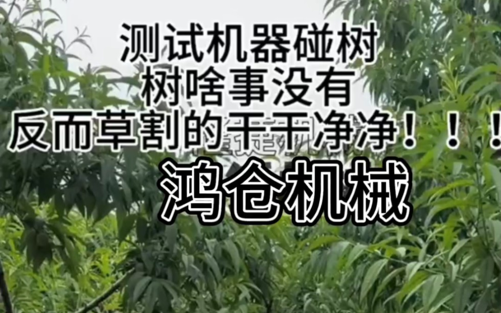 遥控割草机哔哩哔哩bilibili