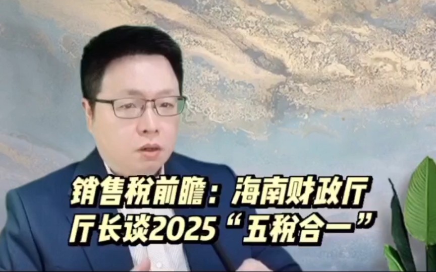 《销售税前瞻:海南财政厅厅长谈2025“五税合一”》哔哩哔哩bilibili