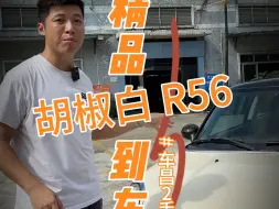 Download Video: 精品胡椒白MINI R56到车