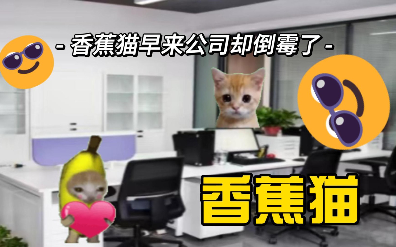 [图]香蕉猫好猫好事帮同事大忙，自己却哭了