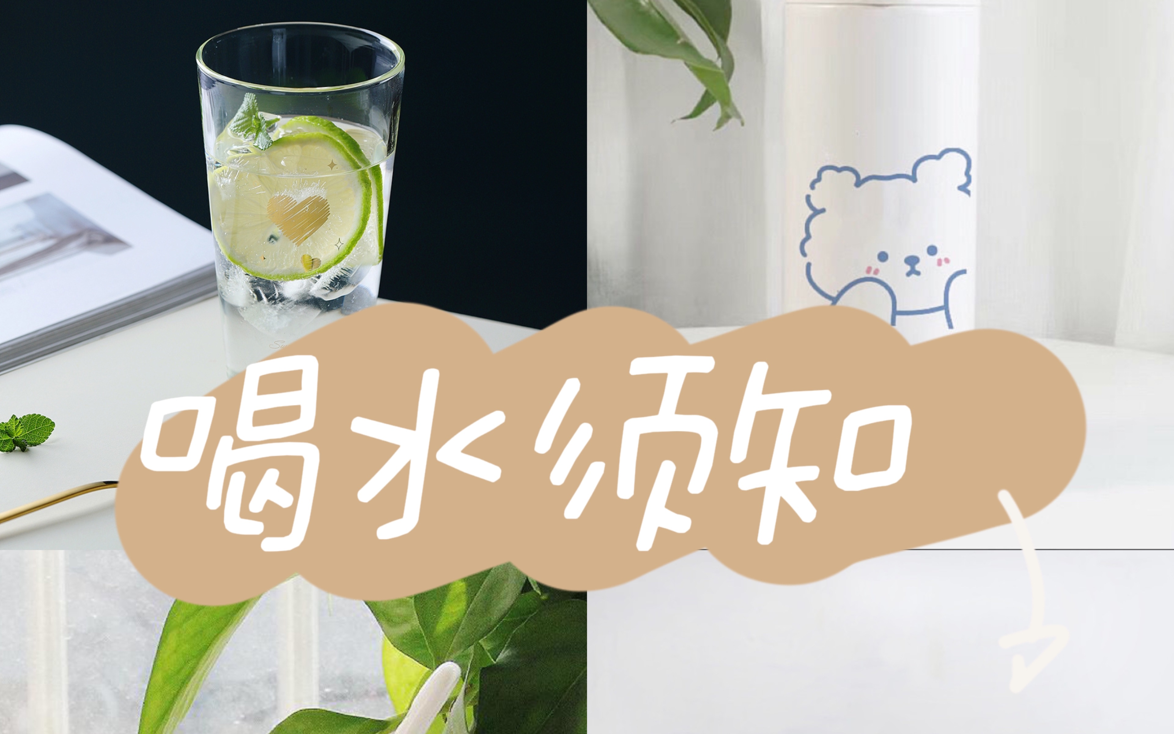 塑料杯不能装热水会有毒?!!纸杯也是?!我真的栓Q了哔哩哔哩bilibili