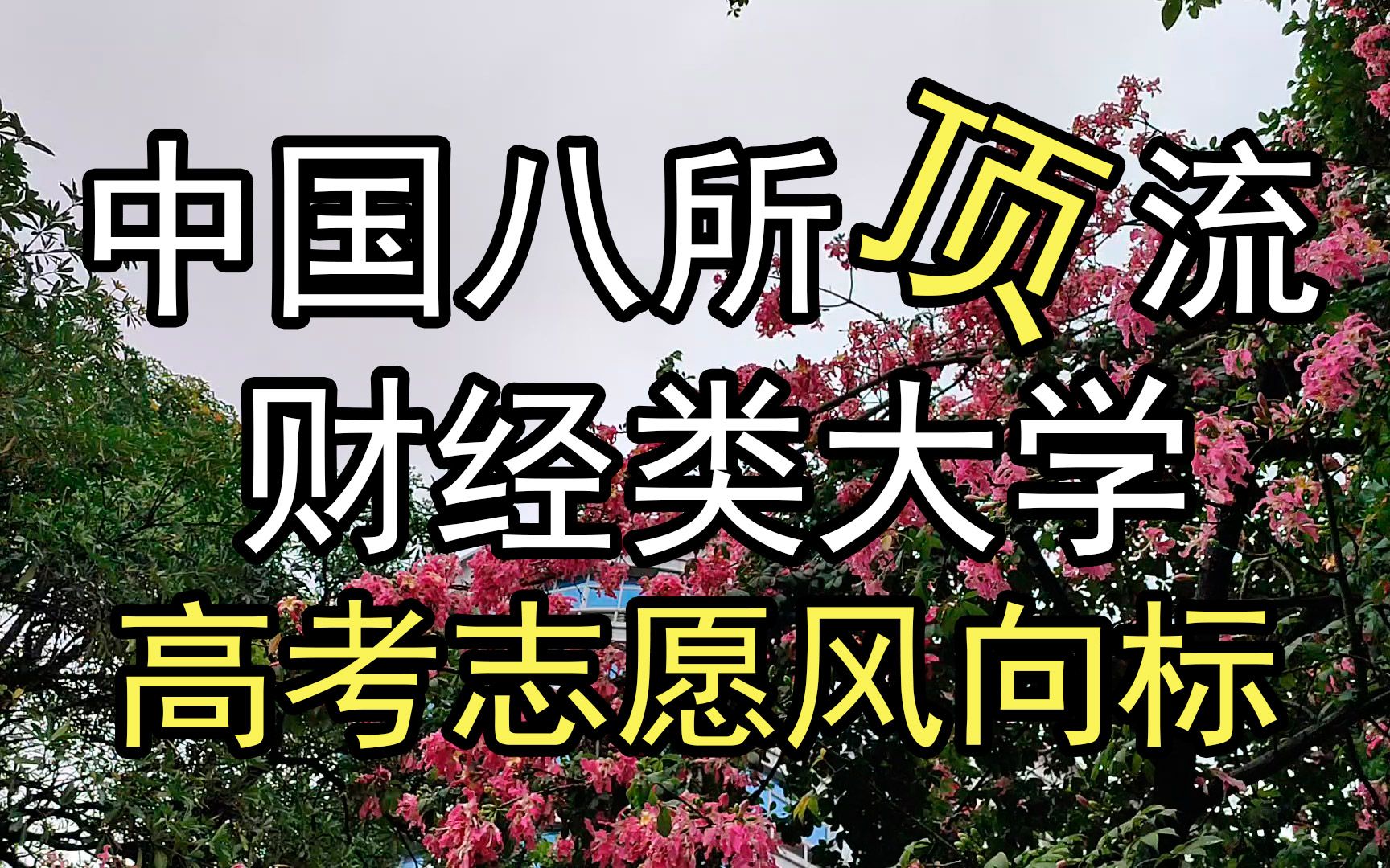 高考志愿风向标:中国八所顶流的财经类大学,你们全都认识吗?哔哩哔哩bilibili