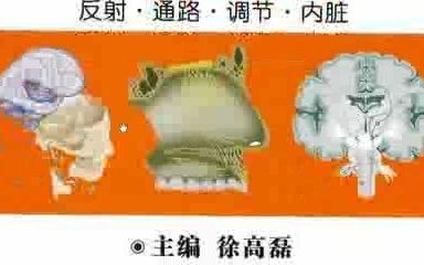 [图]脑神经功能评估与解剖学分析 2020年（彩图）PDF