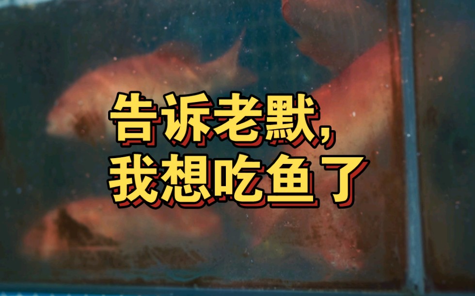 告诉老默,我想吃鱼了.