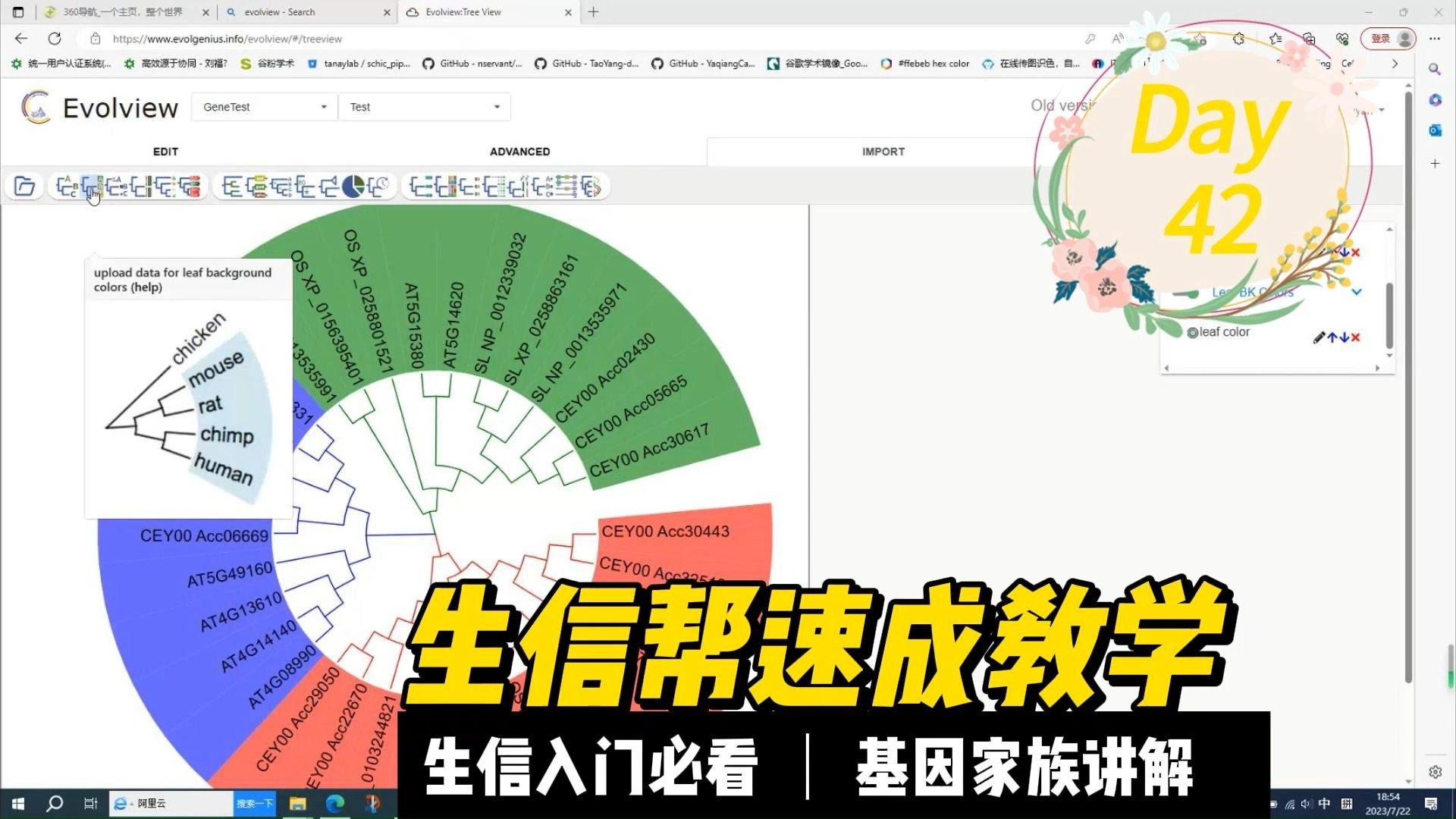 基因家族分析课程42Evolview可视化工具,如何在线绘制圈图,修改枝条颜色?哔哩哔哩bilibili