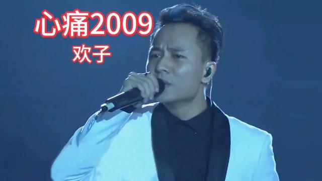 《心痛2009》是由歡子作詞作曲並演唱的歌曲,收錄於歡子2009年11月6日