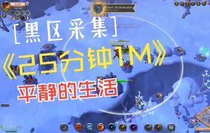 阿尔比恩 Albion 黑区采集25分钟收入1M 采集佬的平静生活 积少成多 三倍速播放