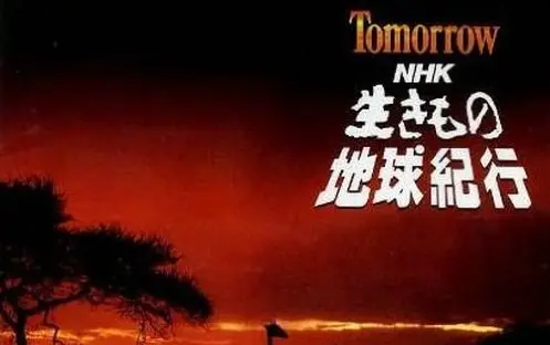 纪录片奇妙的地球生物生存的奥秘Tomorrow~NHK「生きもの地球紀行」第03