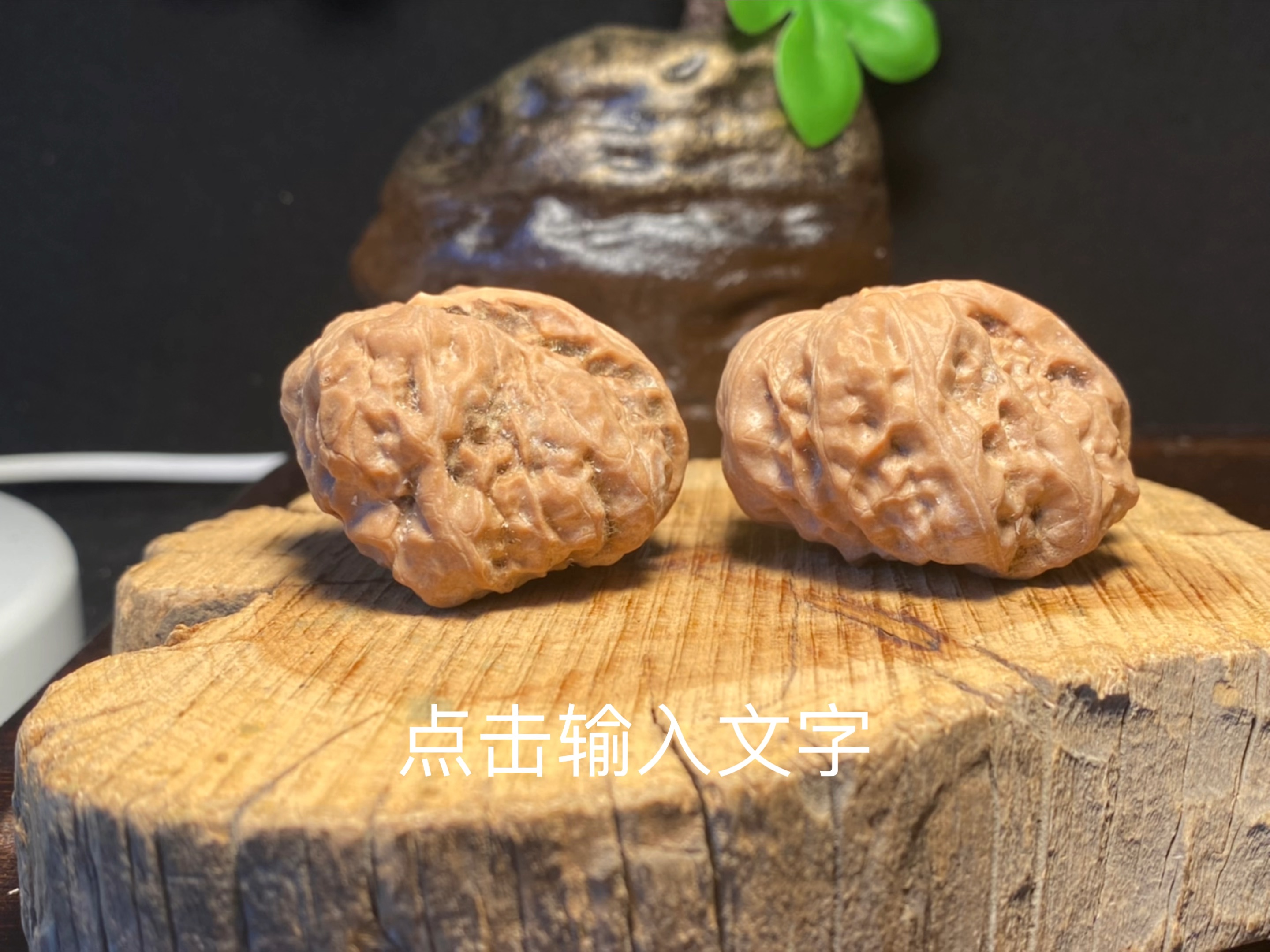 文玩核桃品种之 蛤蟆头,异型,一帆风顺,蟾型依旧突出,成熟度高,精配对
