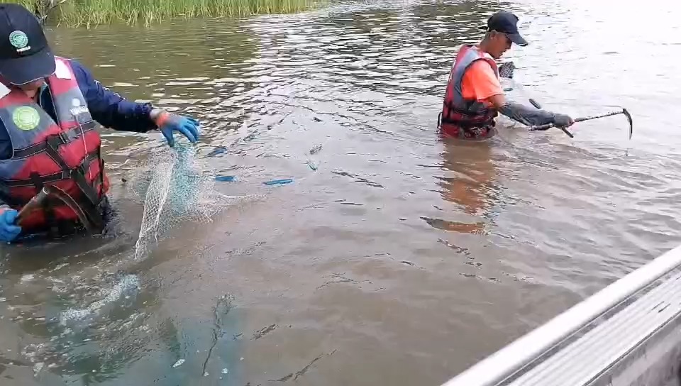 禁渔期,绿会志愿者在齐腰深的水流中清理违法渔具哔哩哔哩bilibili