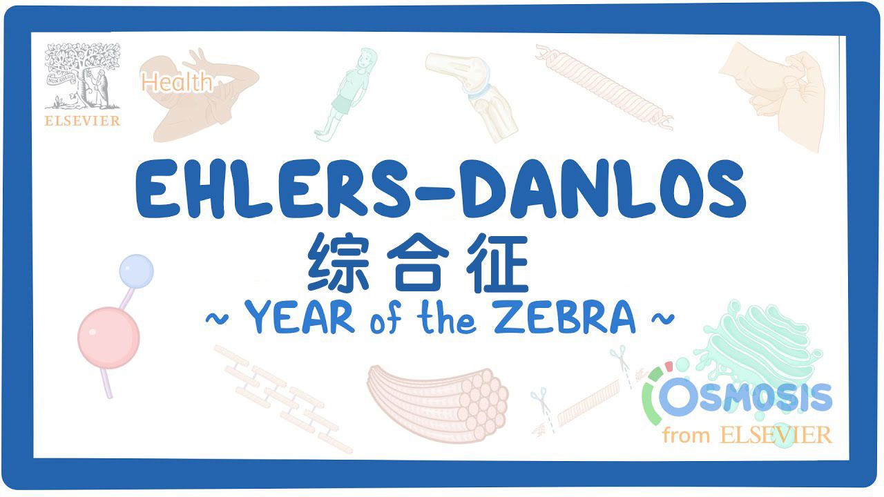 【Osmosis | 斑马年特辑】EhlersDanlos综合征(中英字幕)哔哩哔哩bilibili