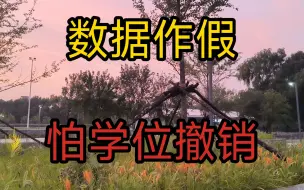 Tải video: 硕士论文数据作假，现在每天担惊受怕，生怕学位被撤销。怎么办呢？