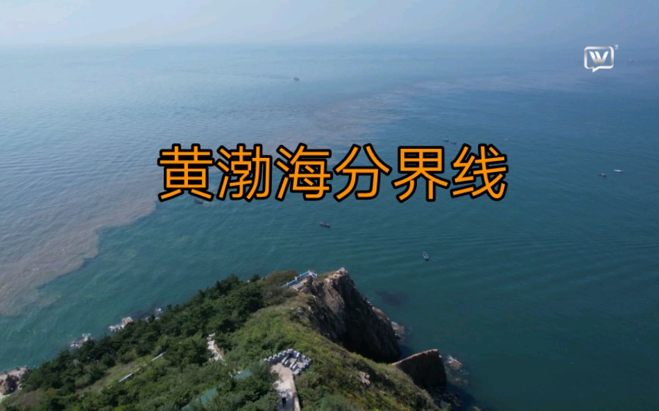 黃渤海分界線 自然奇觀 天作之美