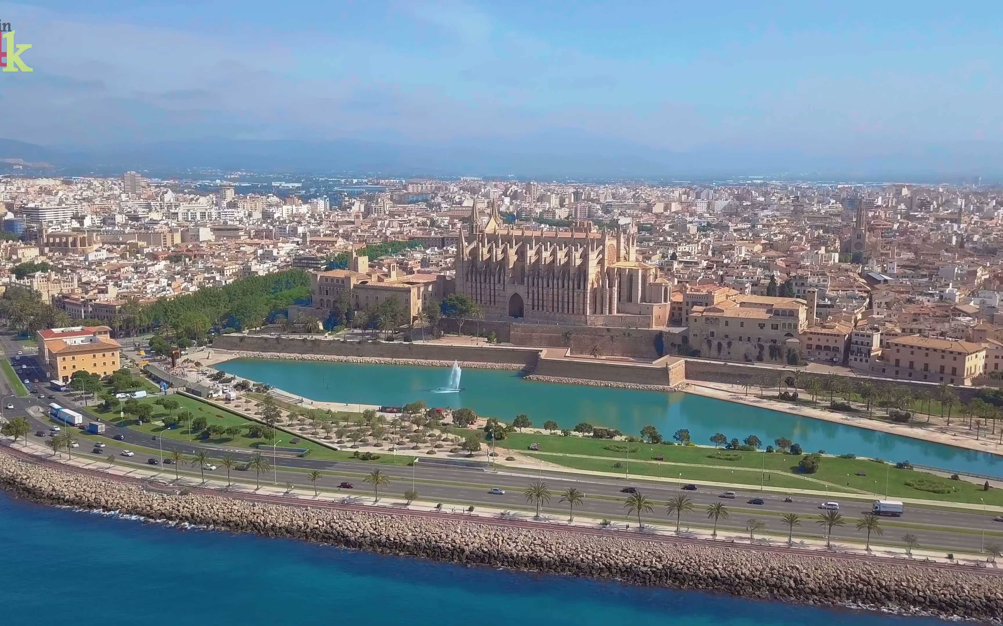 palma de mallorca,spain 西班牙马洛卡棕榈