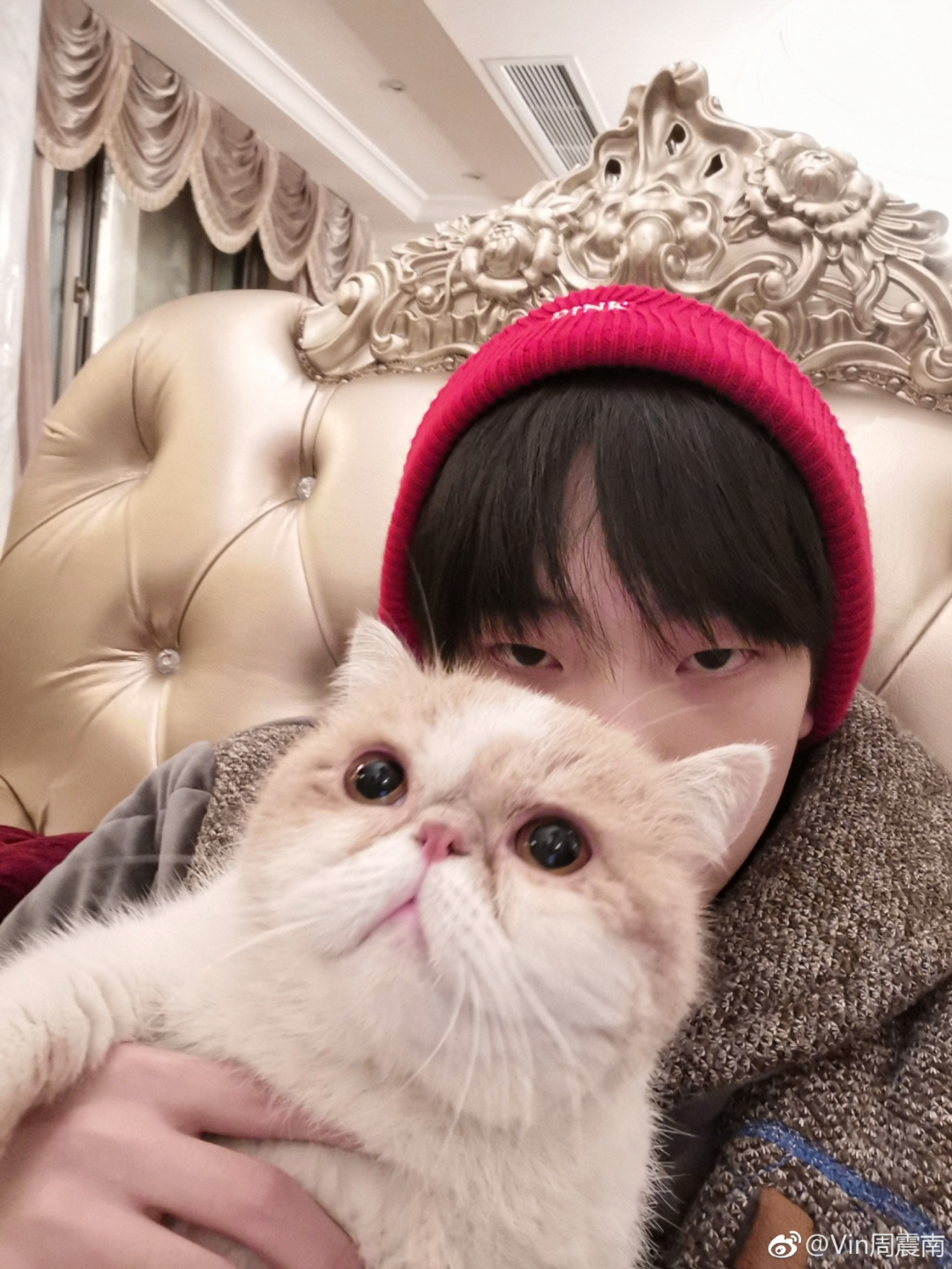 【周震南】不是所有的猫都像你一样温顺