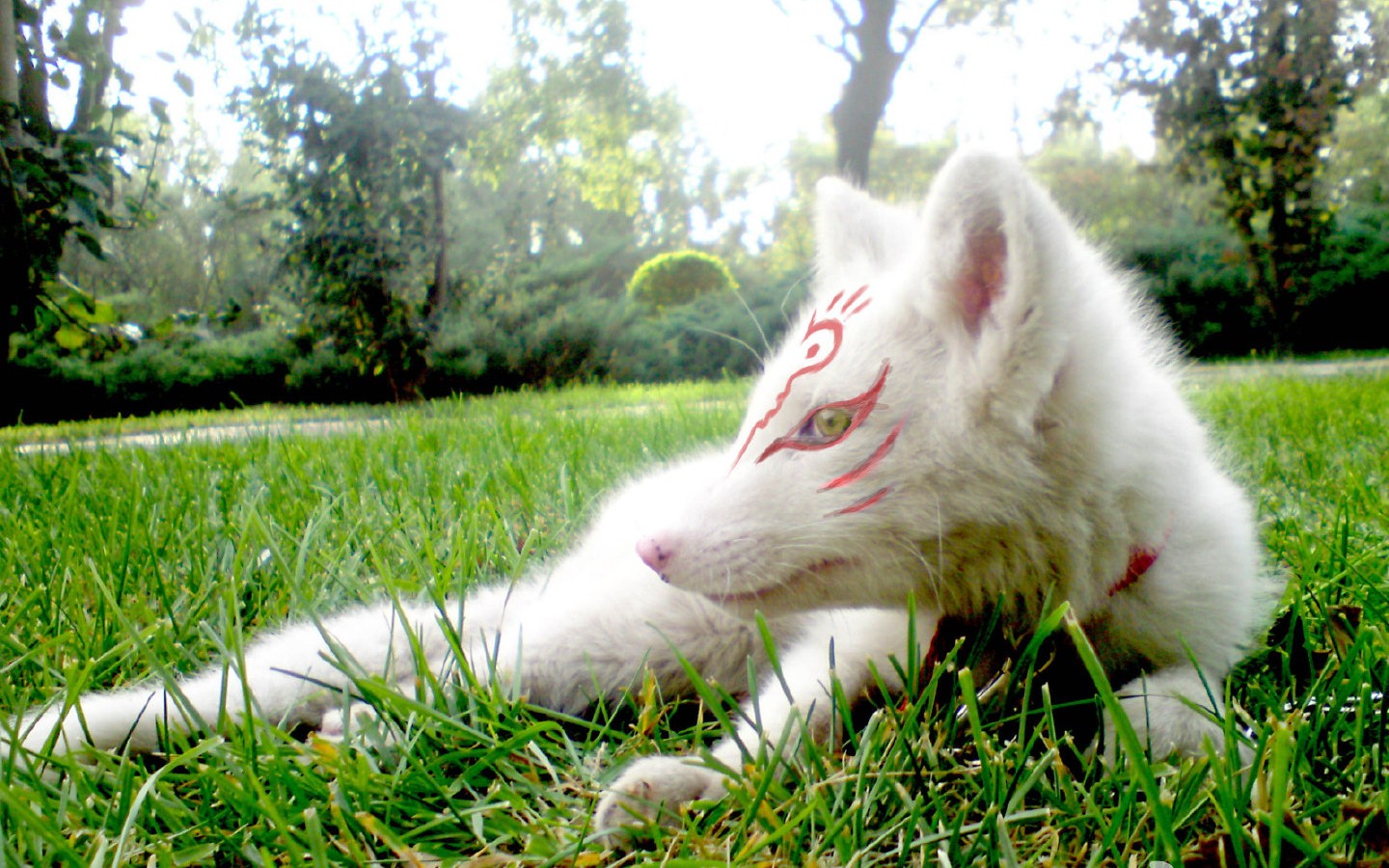 kumaqi-熊祁cos夏目友人帐