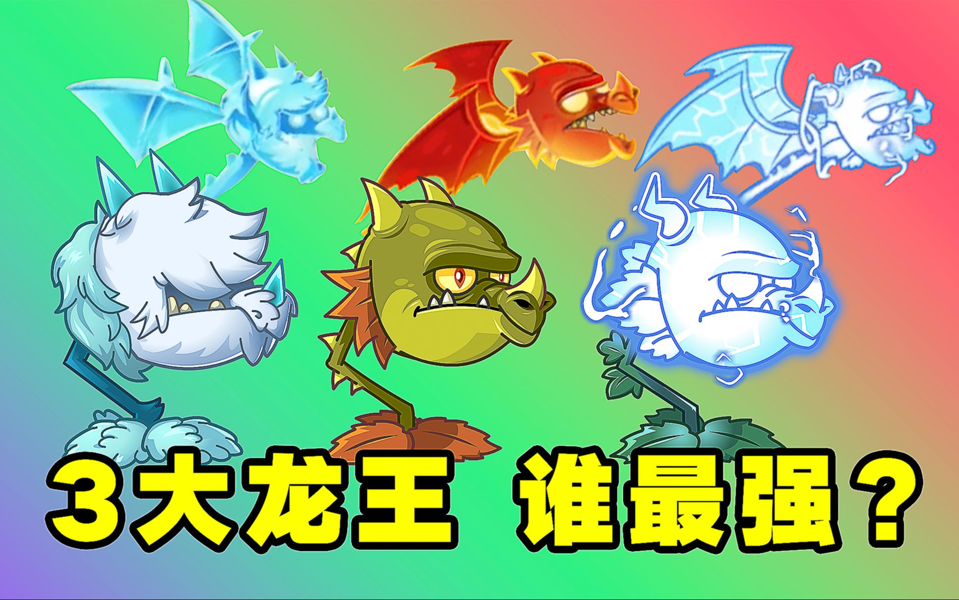 庄先森解说