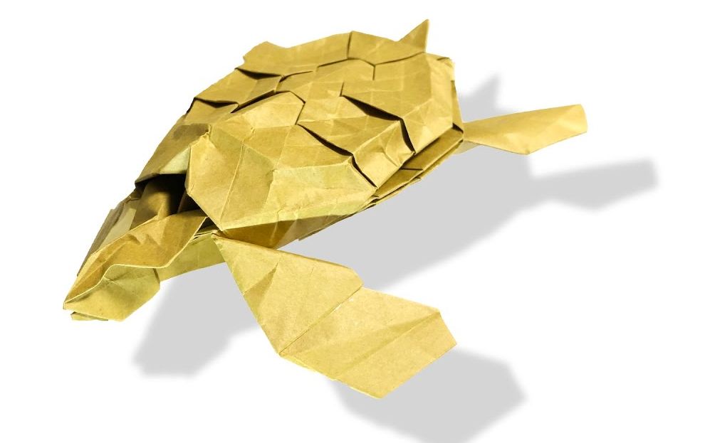 折纸 海龟_哔哩哔哩 (゜-゜)つロ 干杯~-bilibili