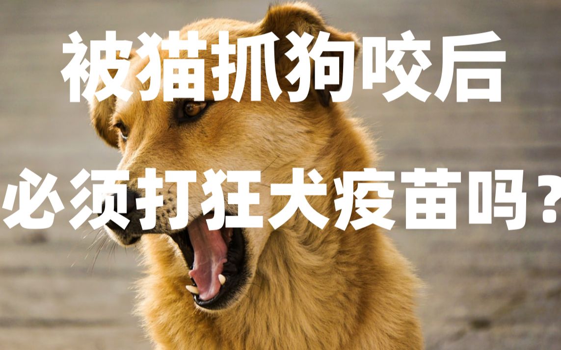 [图]究竟是谁造成社会对狂犬病的恐惧？请不要再滥用狂犬病疫苗了！