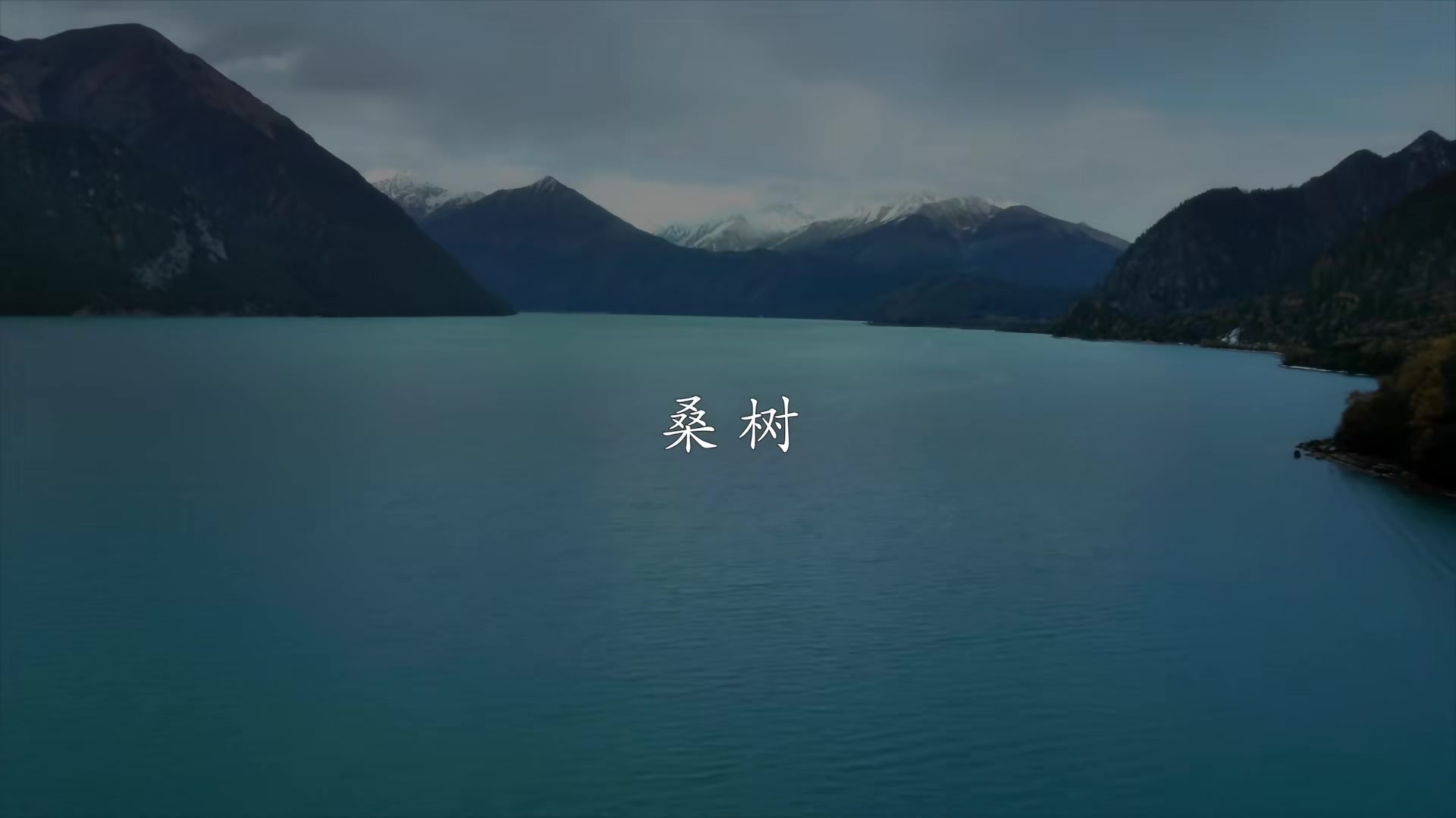 影响世界的中国植物 第06集 桑树哔哩哔哩bilibili