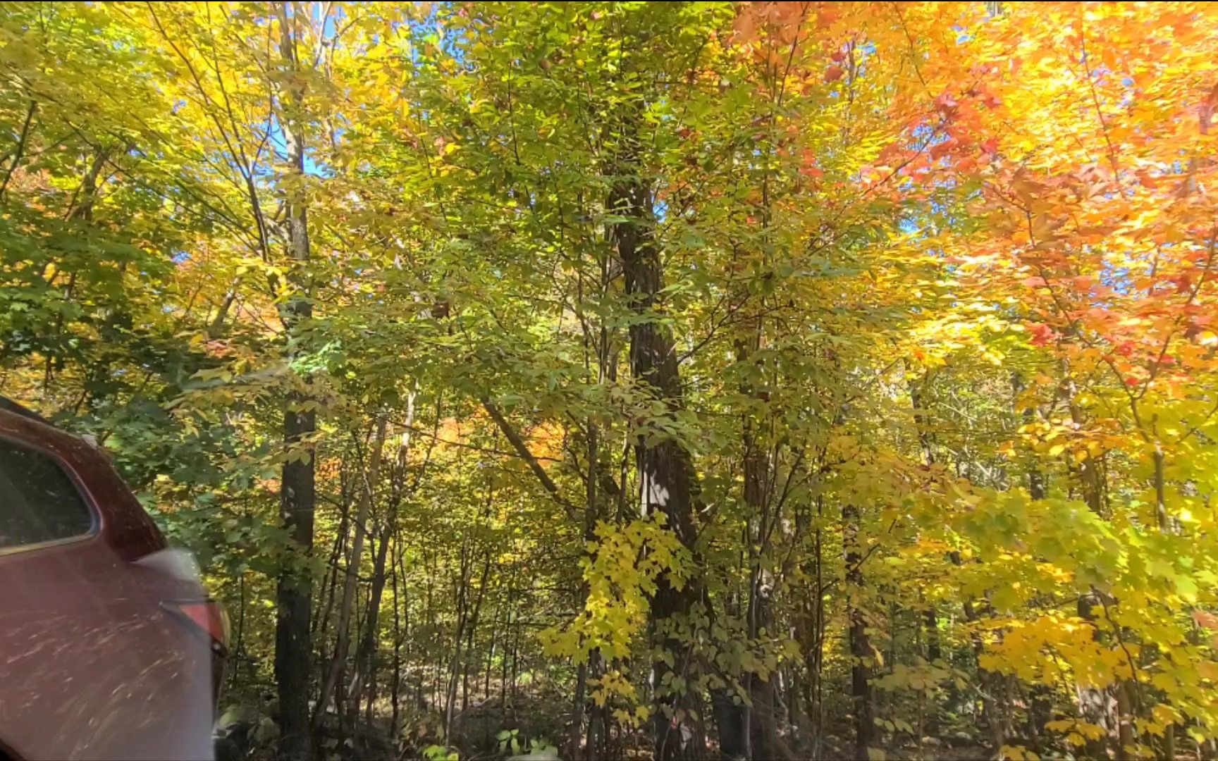 [图]Driving through Muskoka, Ontario in fall