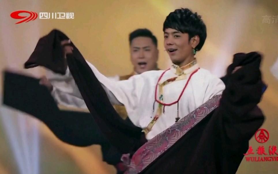 丁真20210101洁白的仙鹤马背上的理塘云上理塘丁真四川卫视跨年完整版