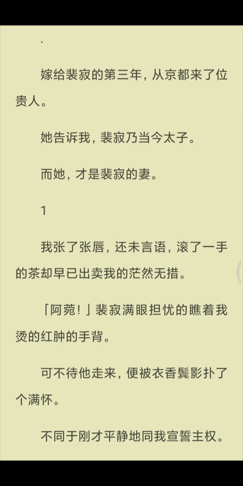 【已完结】嫁给裴寂的第三年,从京都来了位贵人.她告诉我,裴寂乃当今太子.哔哩哔哩bilibili