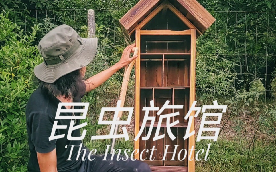 花园从此有了昆虫旅馆