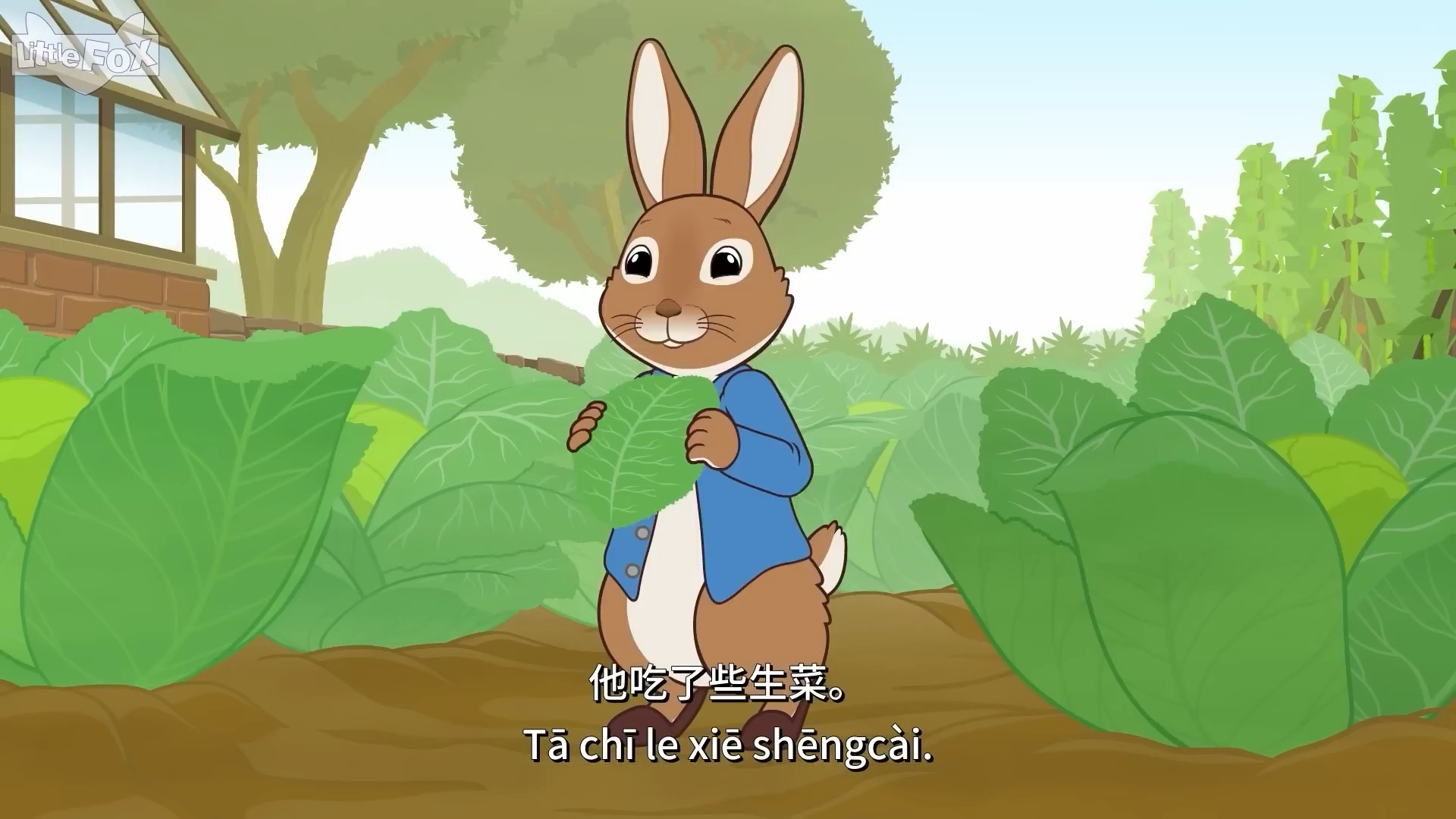 𐟐𐠮Š彼得兔和朋友们 40集全 (Peter Rabbit and Friends) 中文配音字幕 少儿故事哔哩哔哩bilibili