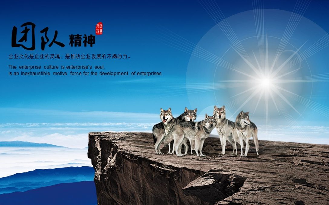 团队精神企业文化企业宣传ppt