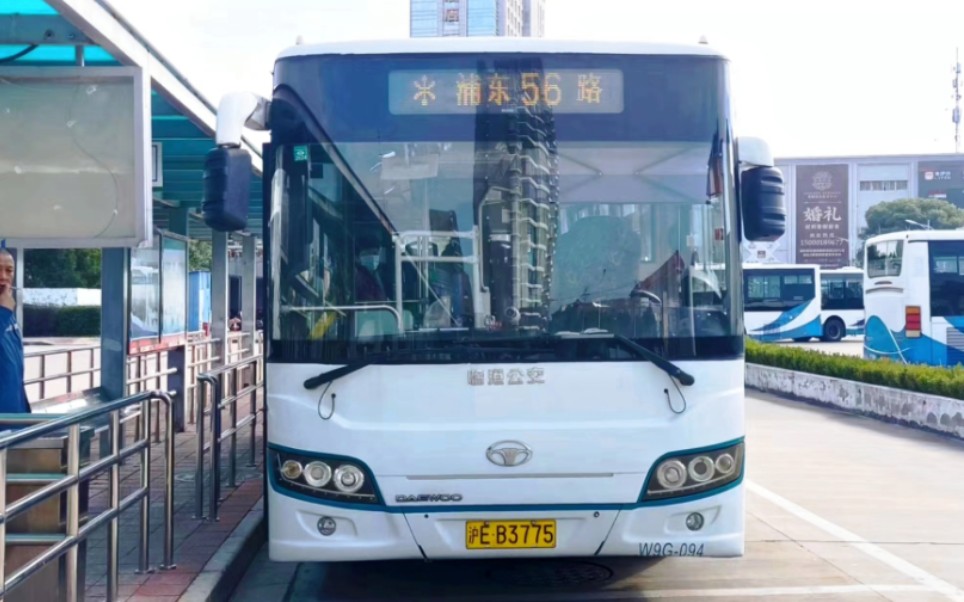 (临港公交)上海浦东56路(原川芦专线南段)公交车终点站拱极路南祝路