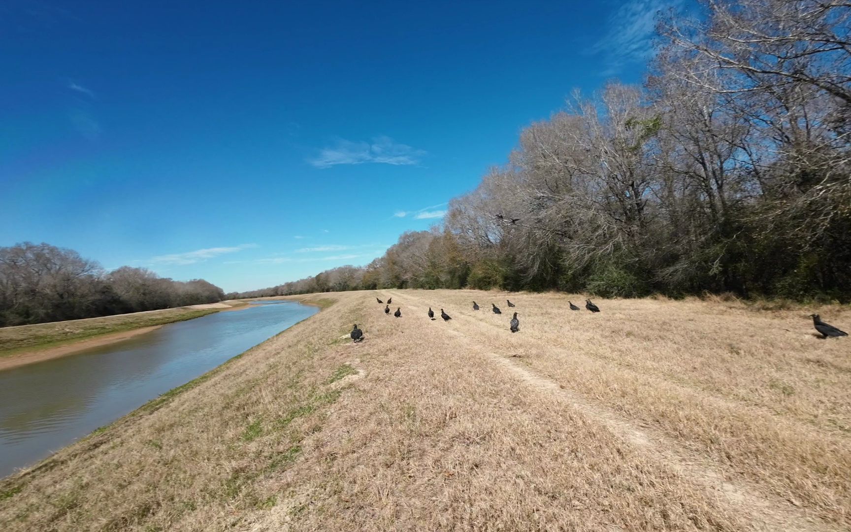 休斯敦 buffalo bayou 远足