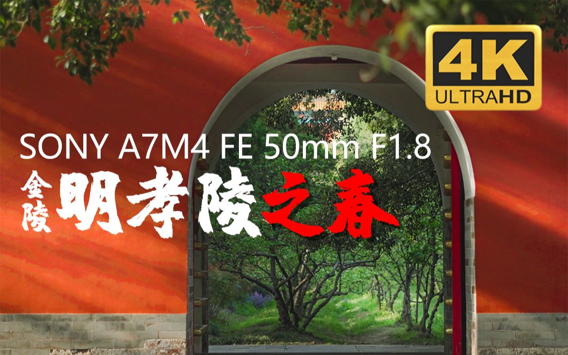 【4K】明孝陵之春 每一帧都是壁纸!A7M4 | FE 50mm F1.8 带你看绝美风景哔哩哔哩bilibili