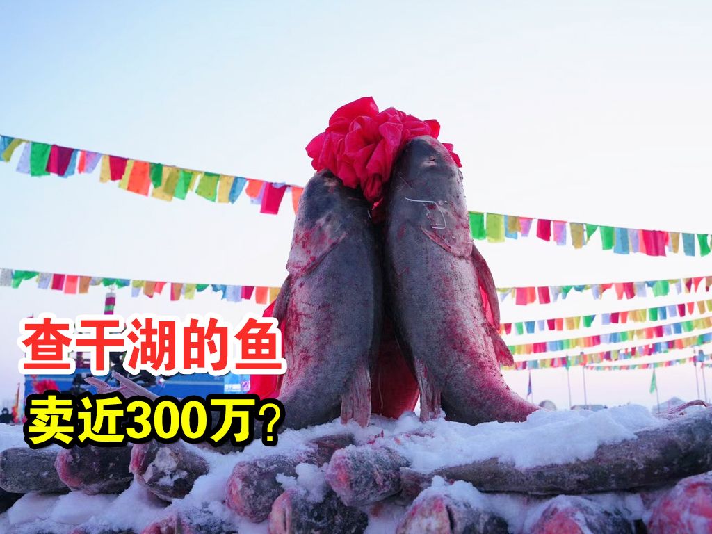 [图]一条鱼卖近300万？查干湖的鱼为何总捞不完，真能年产300万斤吗