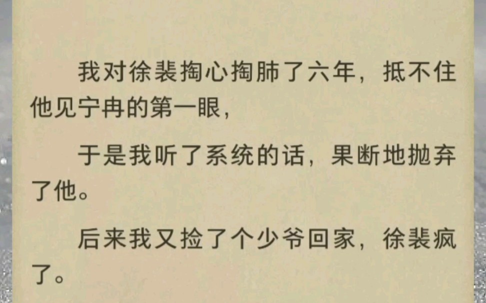 穿书追妻火葬场丨新花怒放丨我对徐裴掏心掏肺了六年,抵不住他见宁冉的第一眼,于是我听了系统的话,果断地抛弃了他.后来我又捡了个少爷回家,徐裴...