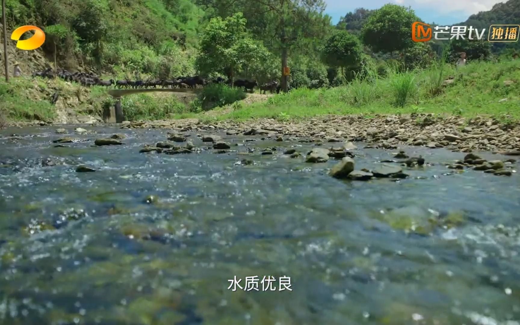 [图]傲椒的湘菜 第二季 第1集：夏日湘风