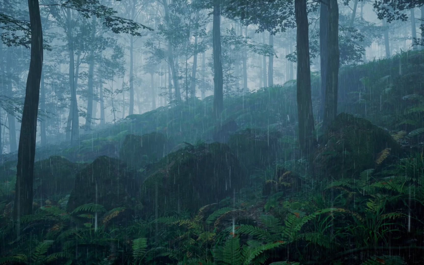 聆听密林深处的雨声,放空思绪,催眠的完美白噪音,雨声,助眠雨声.哔哩哔哩bilibili