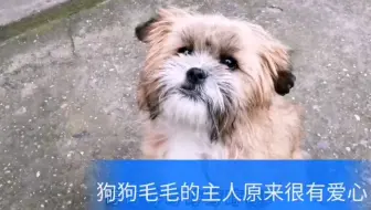 可怜的狗狗 听到狗狗凄惨的叫声 邻居又再打狗狗吗 过去给它喂点饭和牛奶 哔哩哔哩 Bilibili