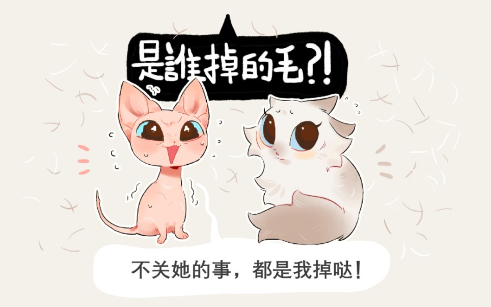 [图]反差萌cp【无毛猫x布偶猫】“不关她的事，都是我掉的毛！”