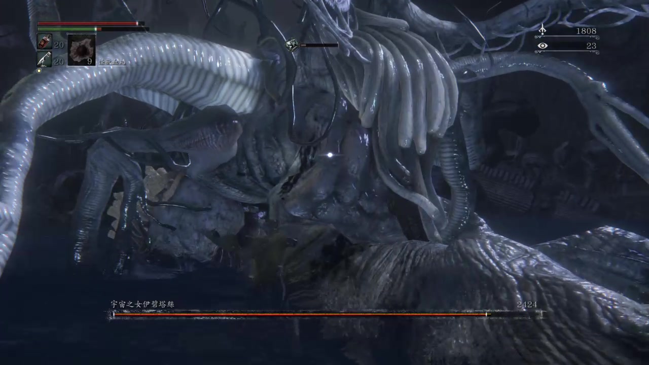 bloodborne闲鱼的二周目日常vs宇宙之女