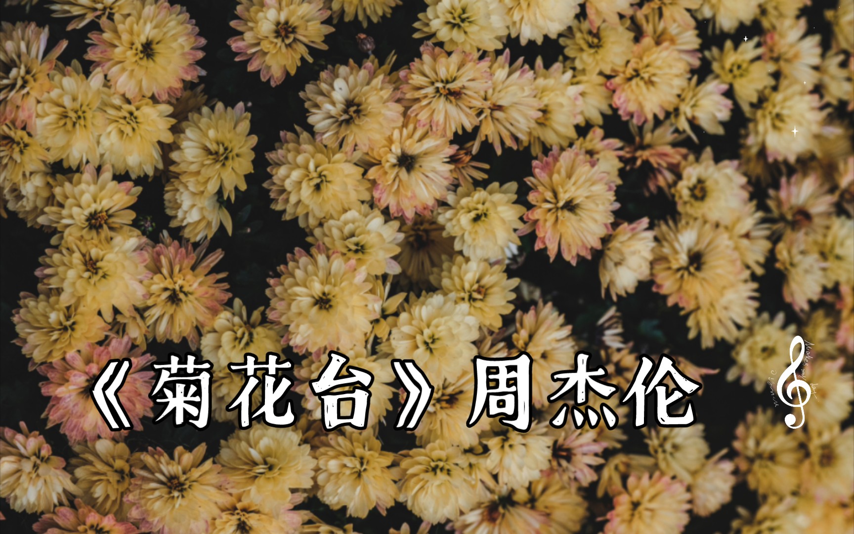 [无损音质]《菊花台》周杰伦