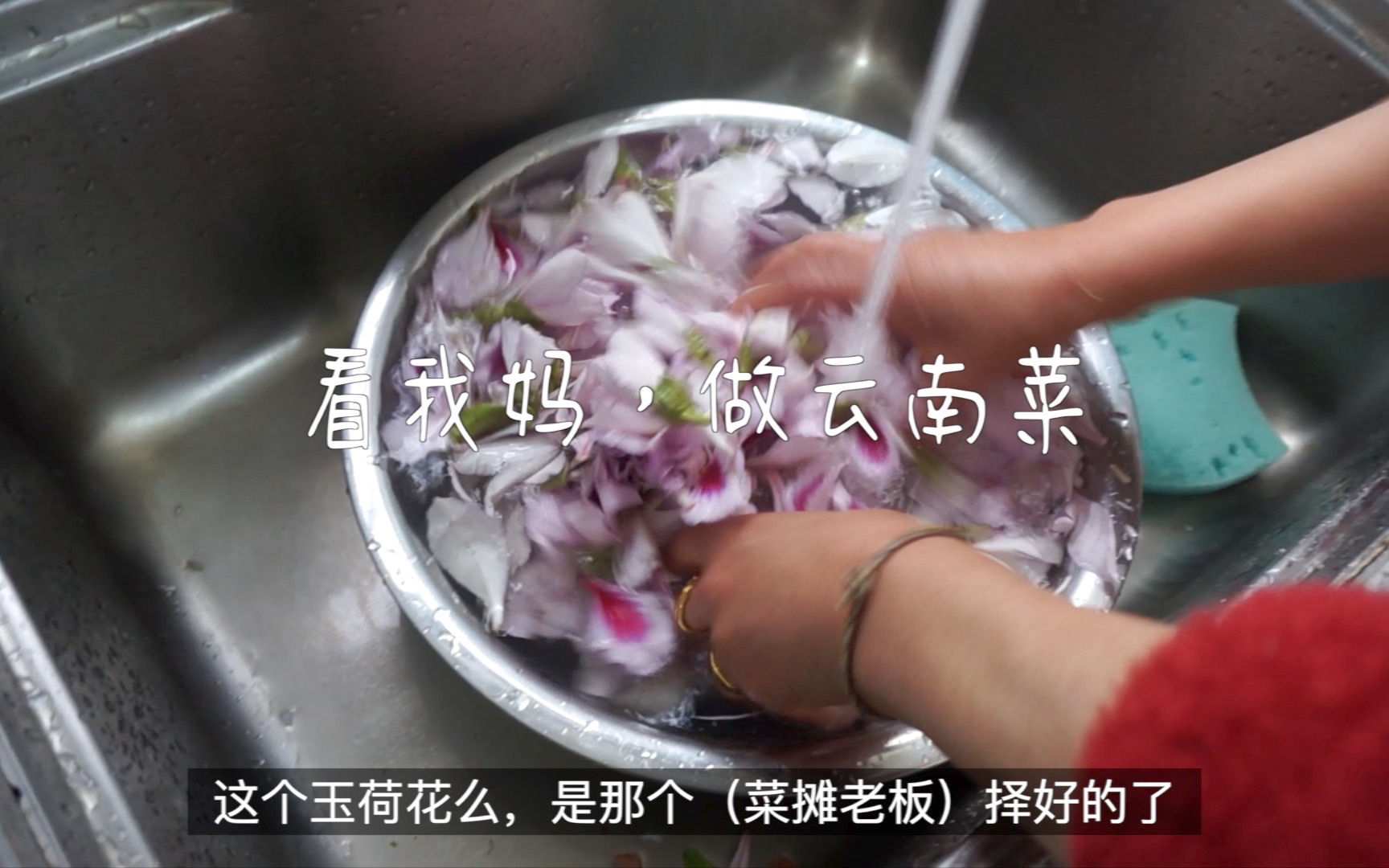 看我妈,做云南菜  玉荷花炒豆豉哔哩哔哩bilibili