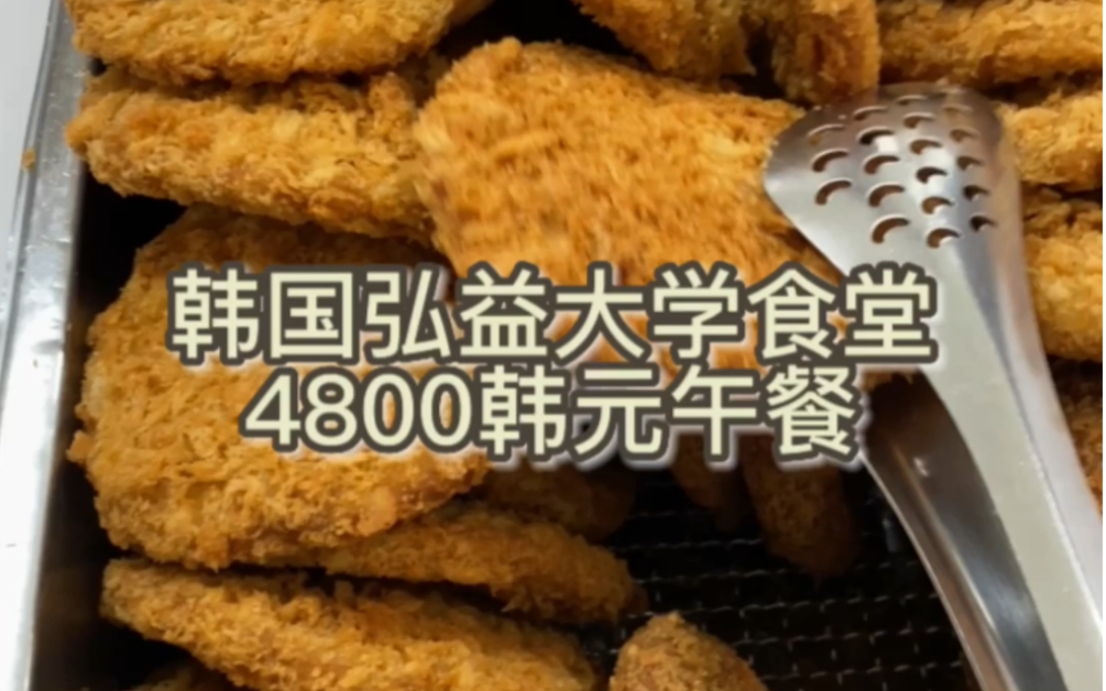 [图]韩国弘益大学食堂4800韩元午餐