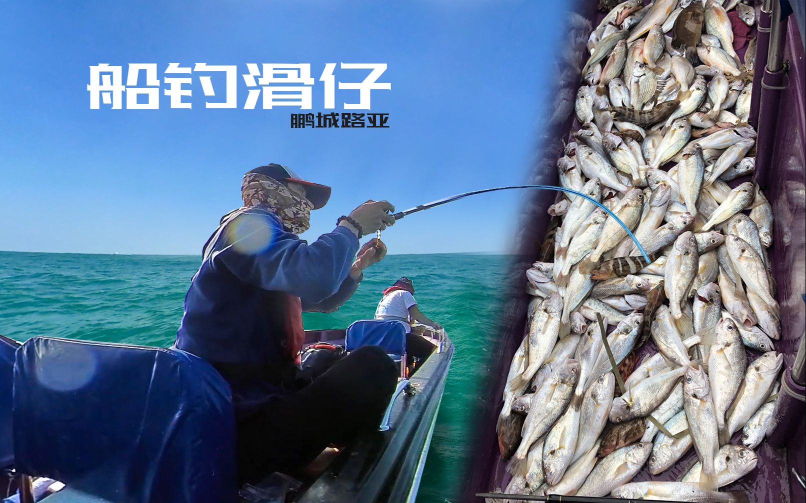 深圳船钓花滑滑仔石斑