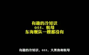 Télécharger la video: 有趣的冷知识，055和航母，东海舰队一艘都没分到。