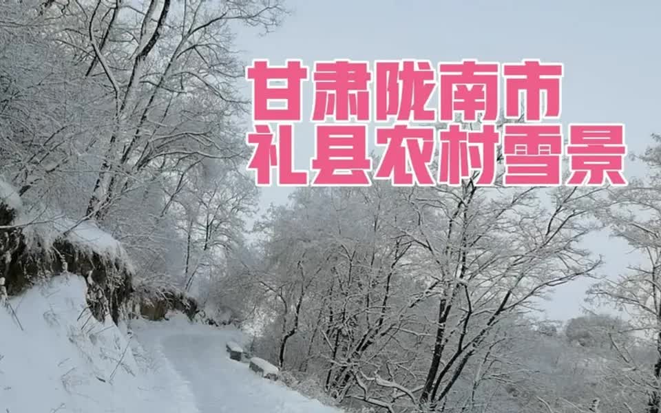 甘肃省陇南市礼县永兴镇农村雪景哔哩哔哩bilibili