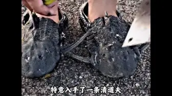 “清道夫：你把我放臭水沟也行呀！！！”