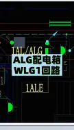 ALG配电箱WLG1回路